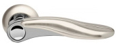 Armadillo Ursa