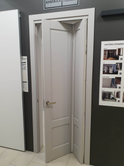 Profil Doors 105U
